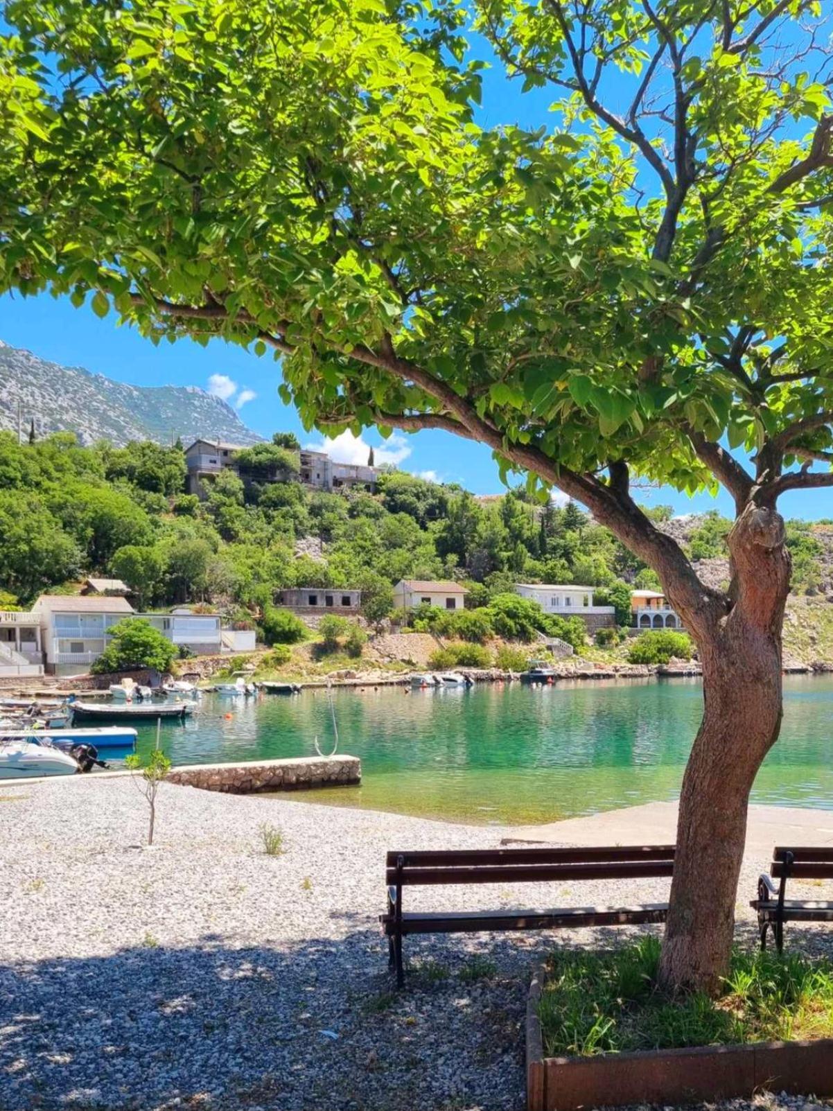 Rosemary Resort Цезарица Екстериор снимка